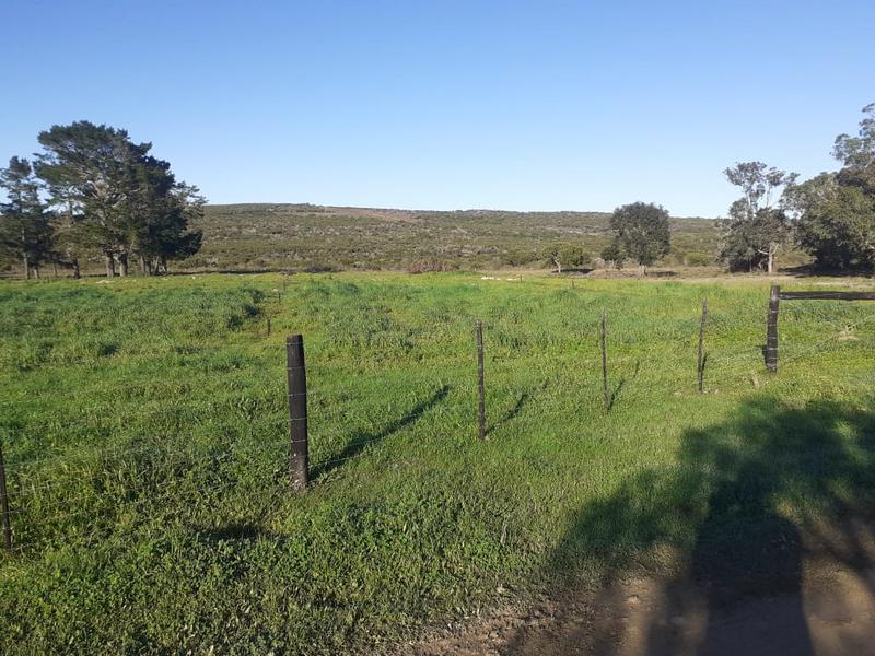 0 Bedroom Property for Sale in Mossel Bay Rural Western Cape